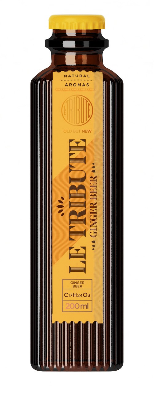 LE TRIBUTE GINGER BEER 24 x 200ML